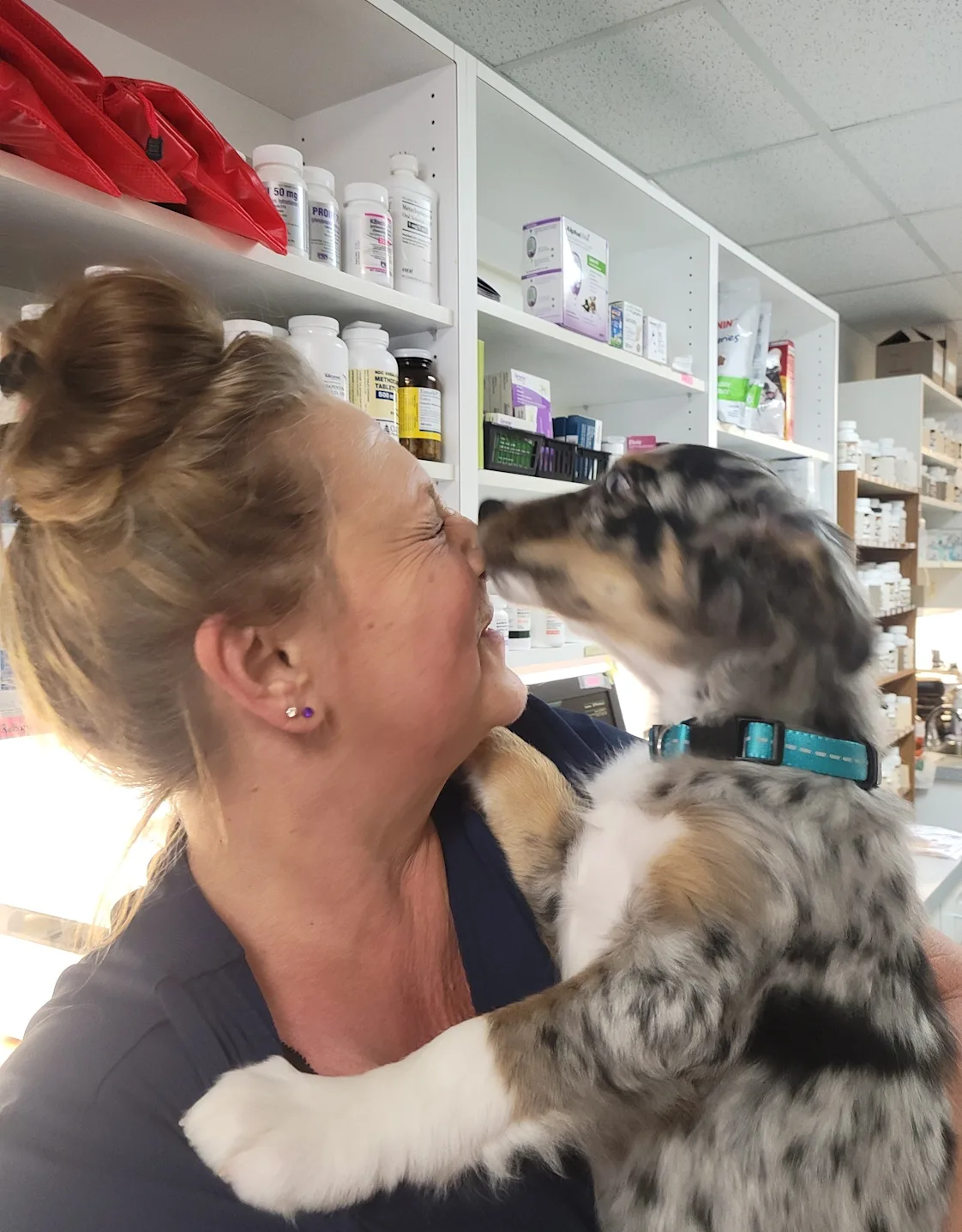 Lenoir Veterinary Hospital Lynae Lenoir Veterinary Hospital Lynae