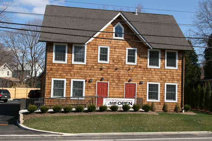 Montville Veterinary Group Street View