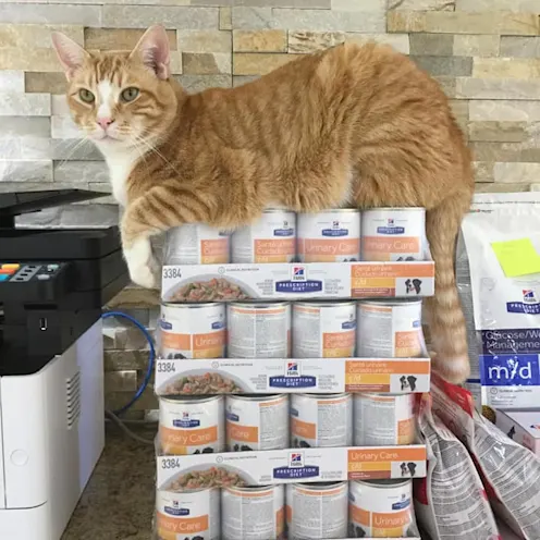 Kikks on Food Kikks on Food