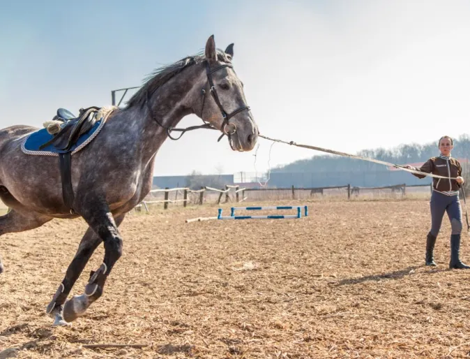 Woman Training Horse