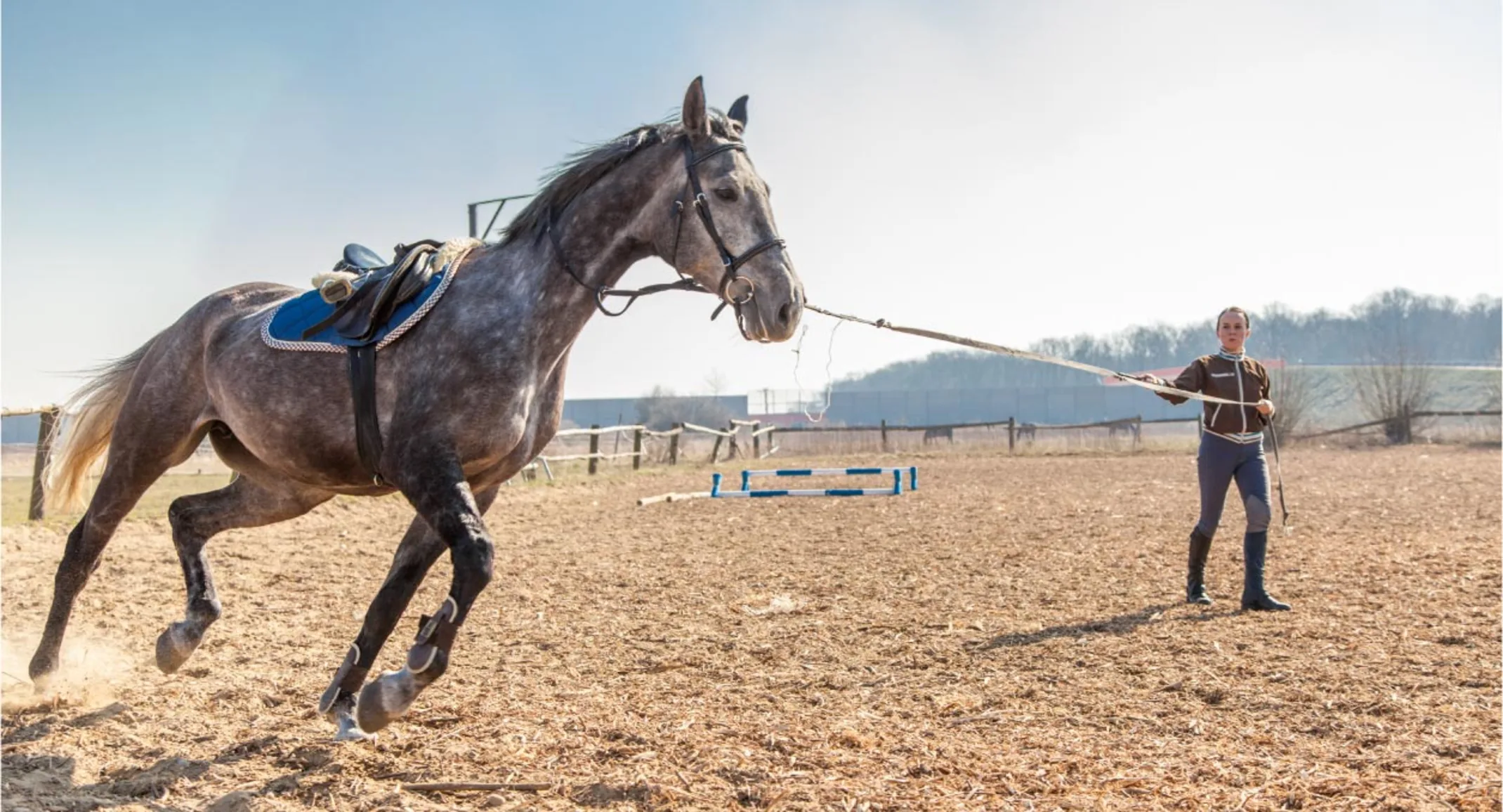 Woman Training Horse