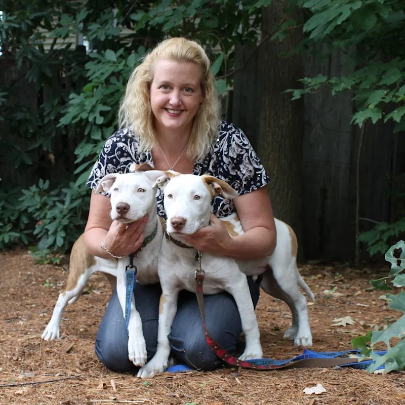 Dr. Marquardt at Danvers Animal Hospital Dr. Marquardt at Danvers Animal Hospital