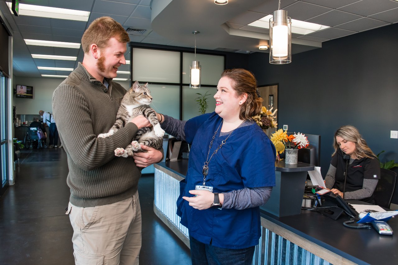 Veterinary staff with client and patient cat.