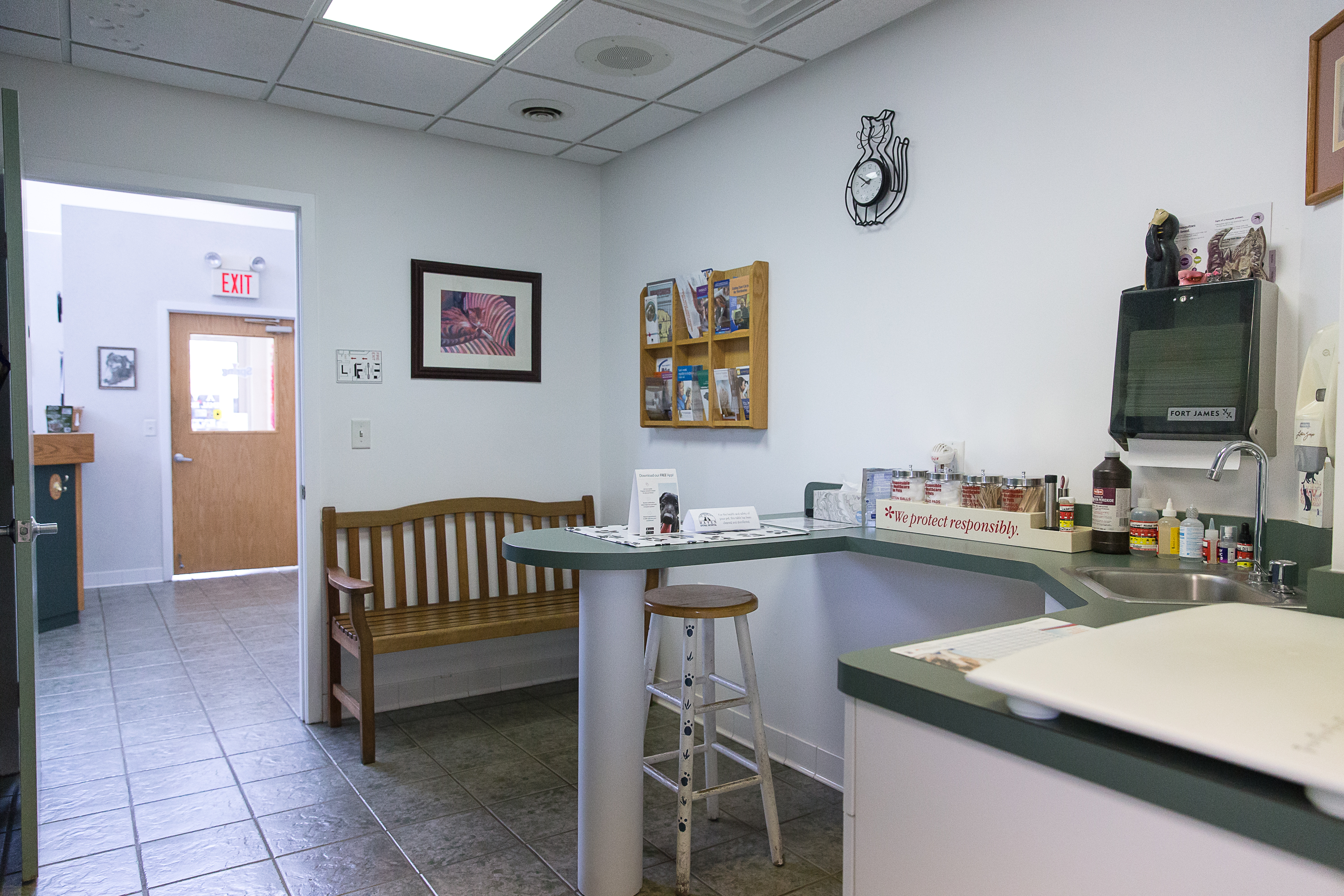 Haven Animal Hospital Exam Room