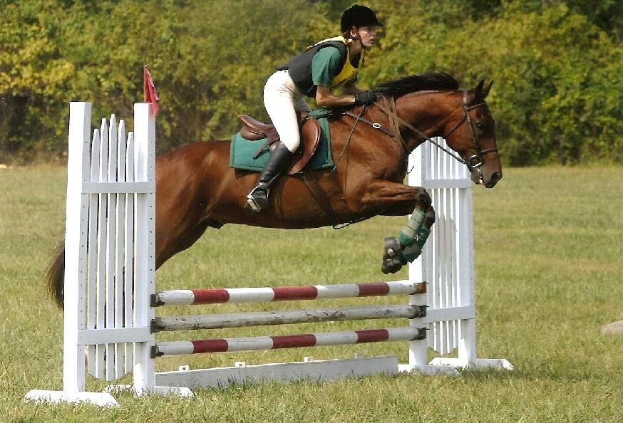 Horse Jumping Competition at Delmarva Equine Clinic