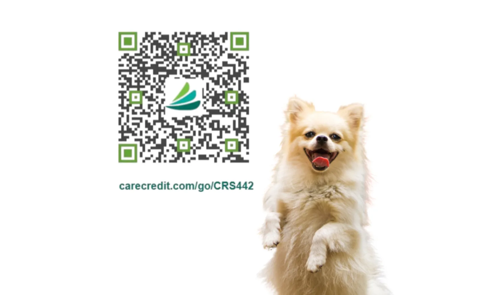 CareCredit QR Code for Lakeway Animal Hospital CareCredit QR Code for Lakeway Animal Hospital