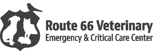Route 66 Veterinary Emergency & Critical Care Center Logo