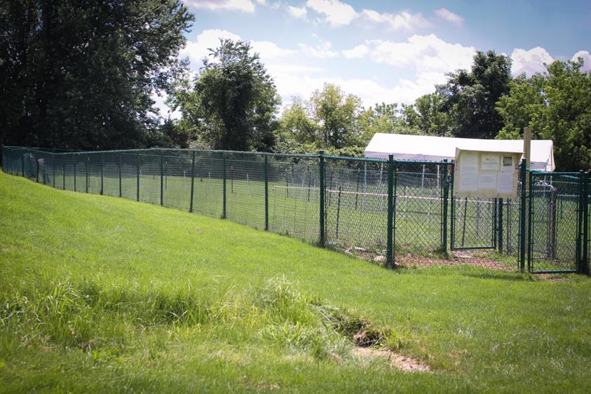  Dog park with fence
