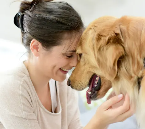 woman hugging dog woman hugging dog