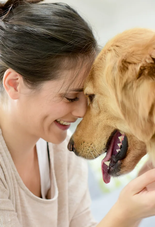 woman hugging dog woman hugging dog
