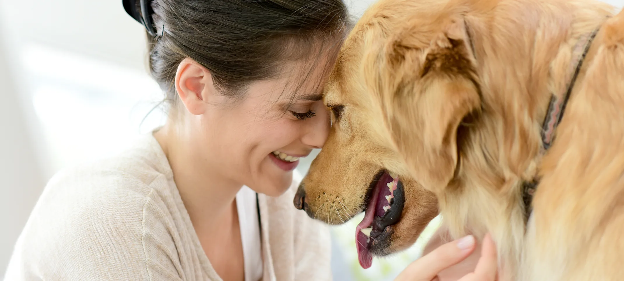 woman hugging dog woman hugging dog