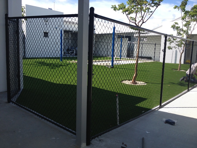 Lauderdale Pet Lodge Yard