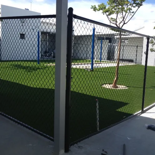 Lauderdale Pet Lodge Yard