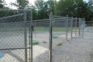 Spacious Outdoor Dog Cages at Animal Hospital of Signal Mountain