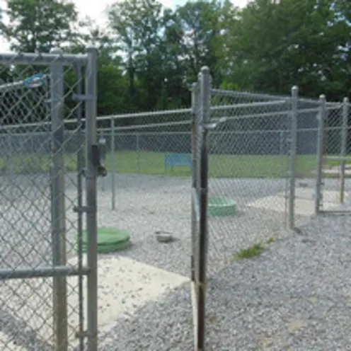 Spacious Outdoor Dog Cages at Animal Hospital of Signal Mountain Spacious Outdoor Dog Cages at Animal Hospital of Signal Mountain