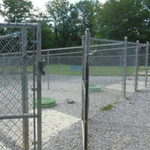 Spacious Outdoor Dog Cages at Animal Hospital of Signal Mountain