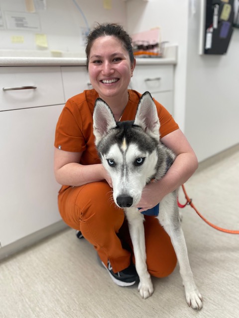 Our Staff with a Patient (Dog)