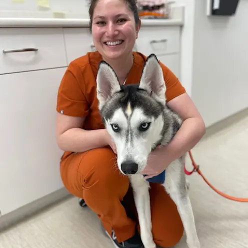 Our Staff with a Patient (Dog) Our Staff with a Patient (Dog)