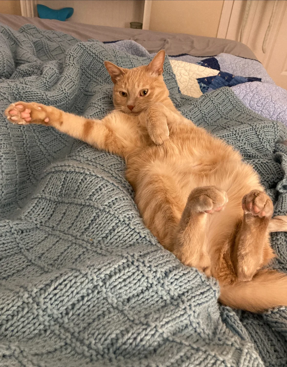 Milo Milo