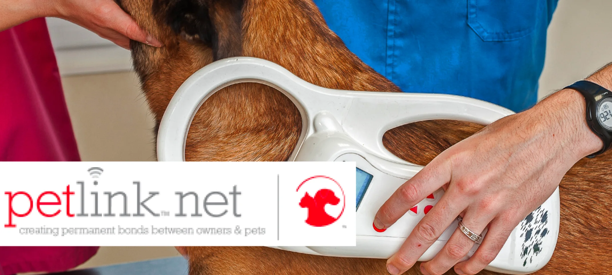 Microchipping dog with petlink logo