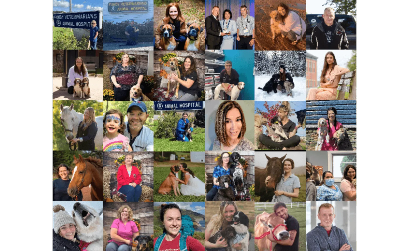 Fundy Veterinarians staff Fundy Veterinarians staff