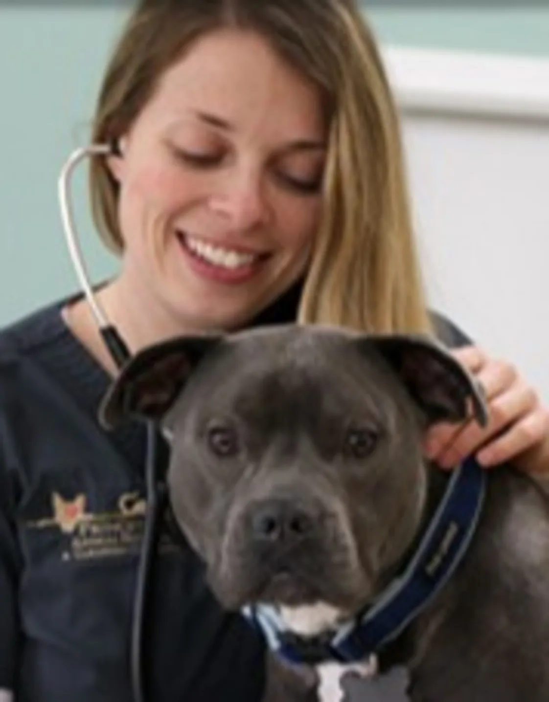 Andrea from Princeton Animal Hospital & Carnegie Cat Clinic Andrea from Princeton Animal Hospital & Carnegie Cat Clinic