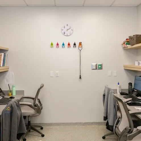 Doctor's area in West Village Veterinary Hospital. Doctor's area in West Village Veterinary Hospital.