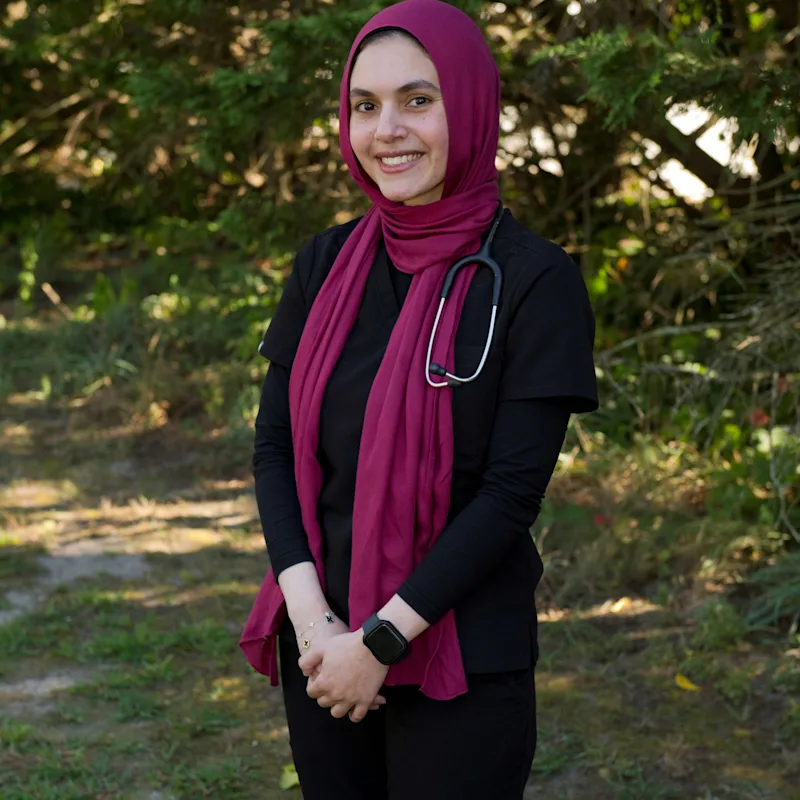 Dr. Nour Hussaein Dr. Nour Hussaein