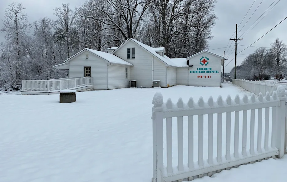 Front Sign Exterior of Ladysmith Veterinary Hospital