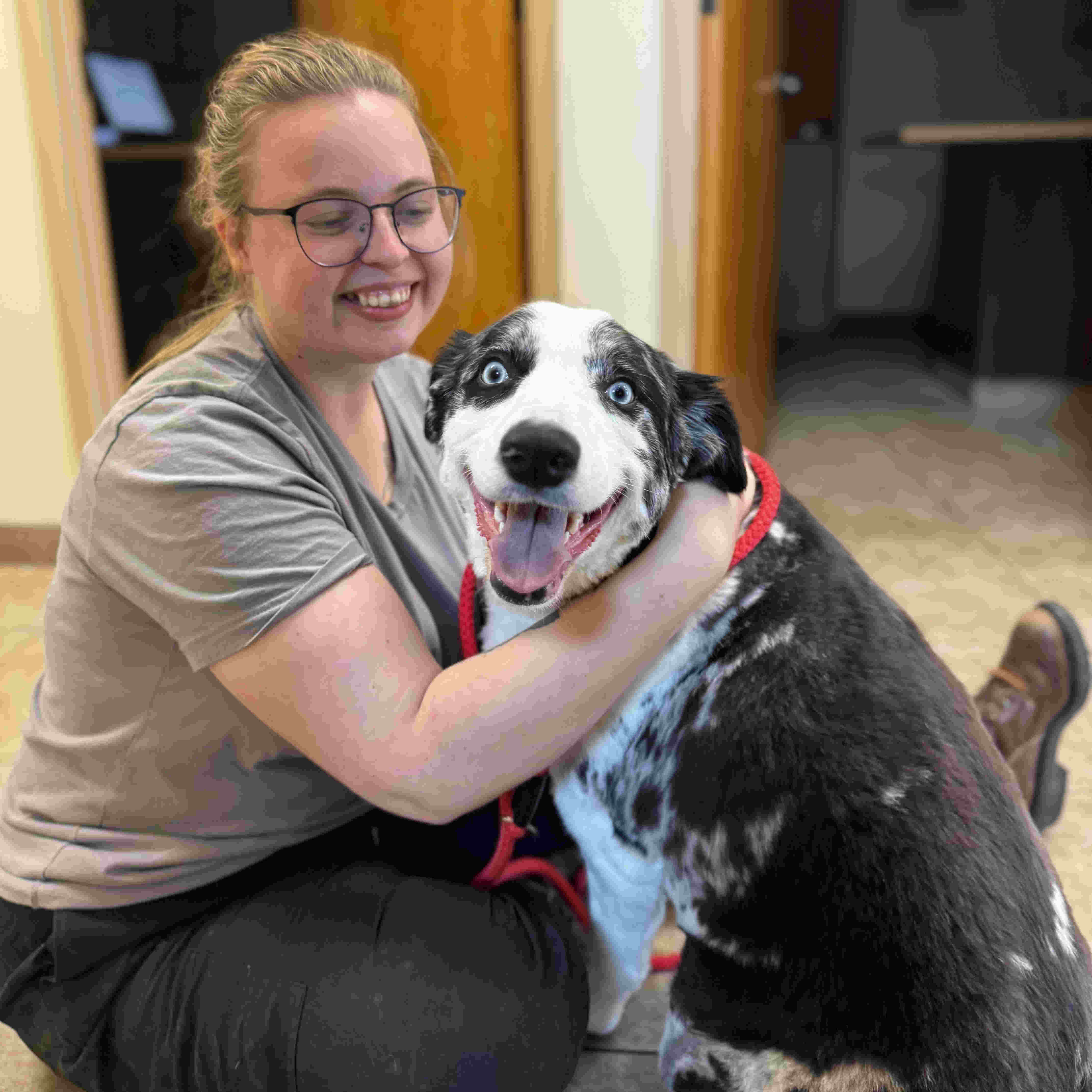 A Very Happy Dog Smiling at the Camera