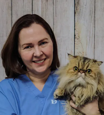 Dr. Colleen Bray Dr. Colleen Bray
