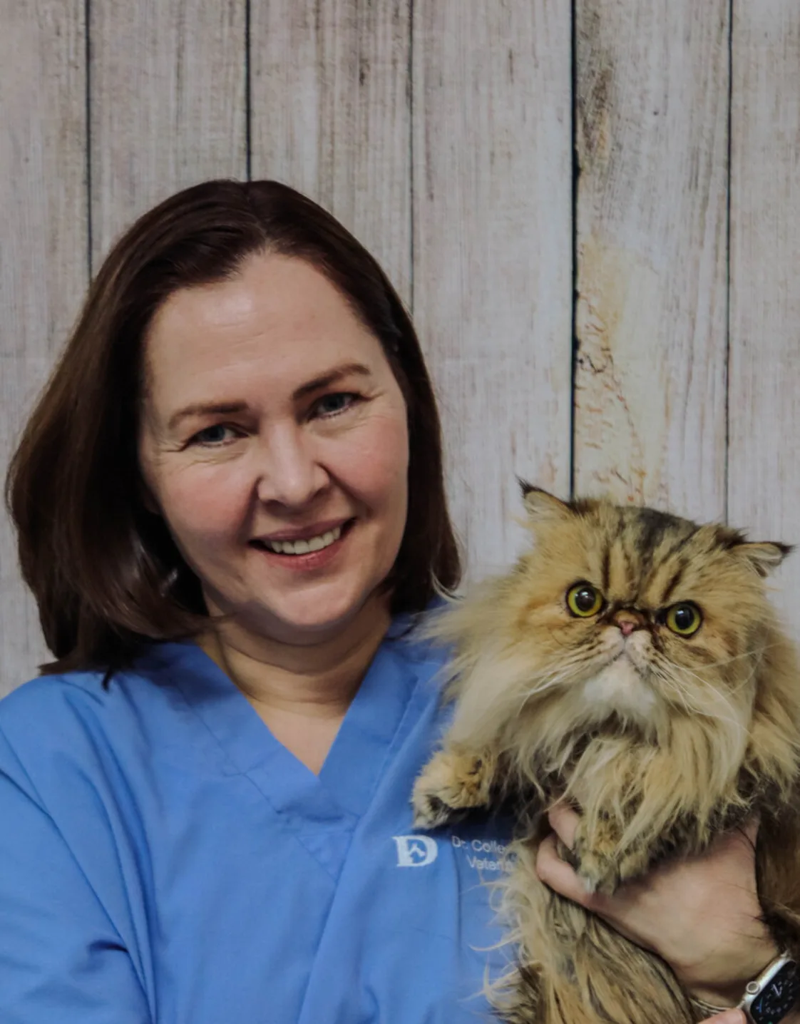 Dr. Colleen Bray Dr. Colleen Bray