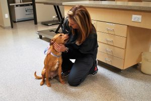 Animal Care Center of Polaris staff member kneeling and petting a dog