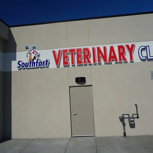 Clinic Back Clinic Back