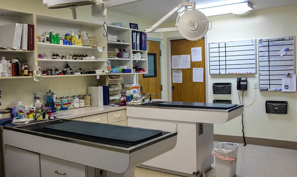 Linda Mar Veterinary Hospital Treatment Area