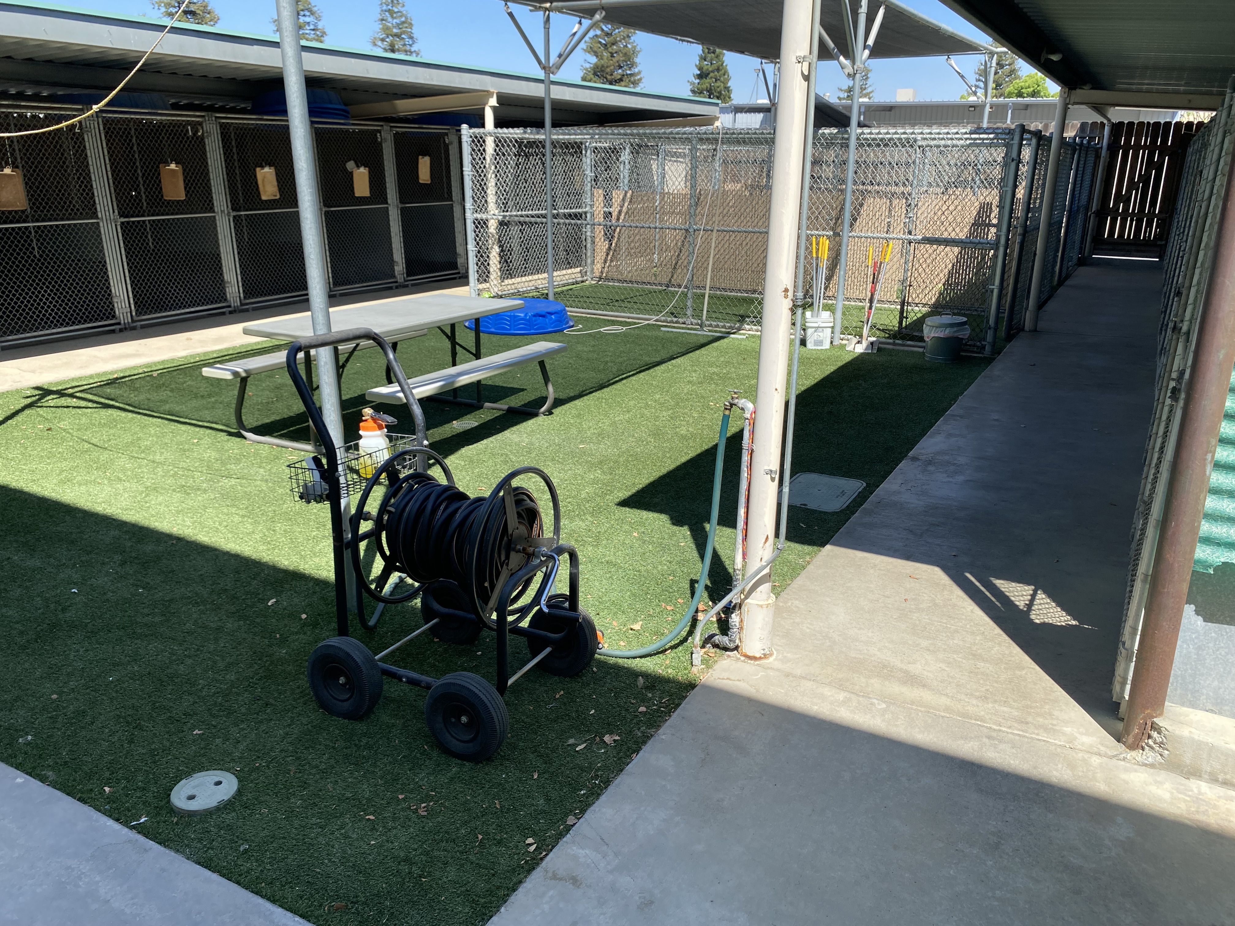 Grassy courtyard with a picnic table.