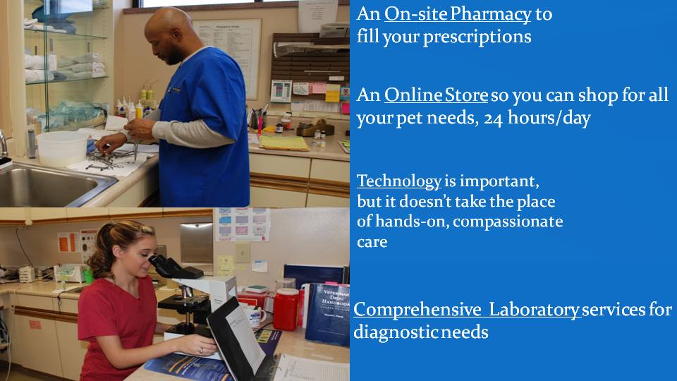 On site pharmacy at Kettering Animal Hospital