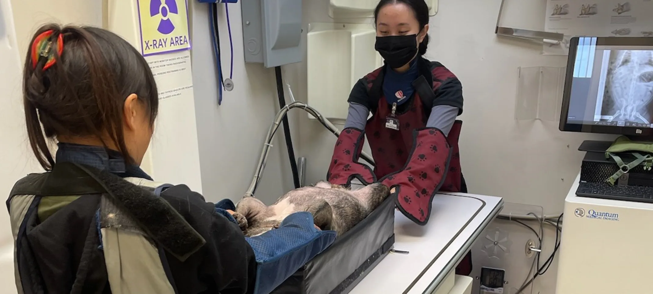 technicians performing radiographs on a patient technicians performing radiographs on a patient