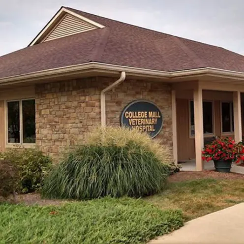 Exterior of College Mall Veterinary Hospital