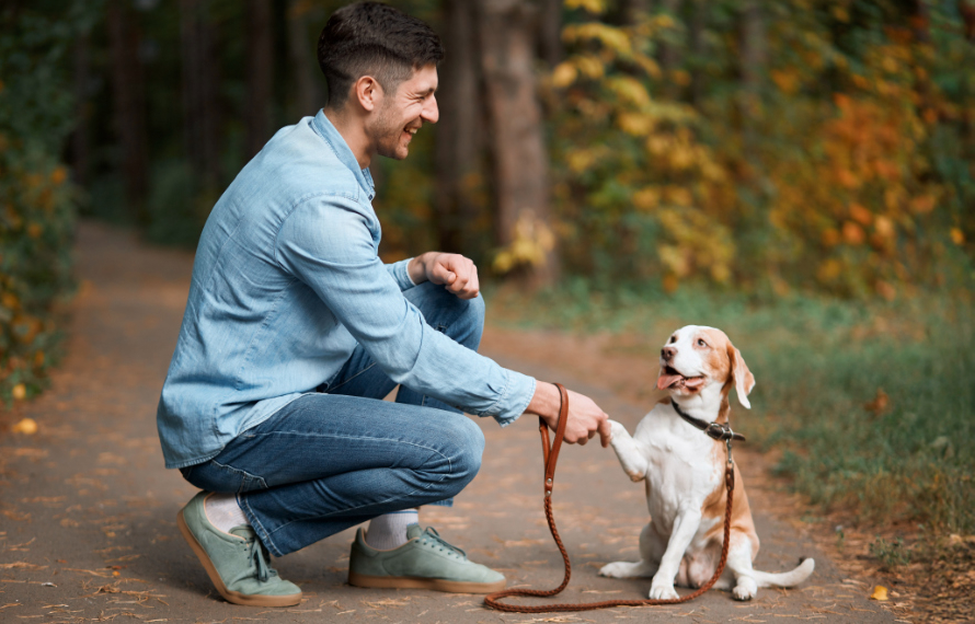 Man Holding Dog's Paw at the Park