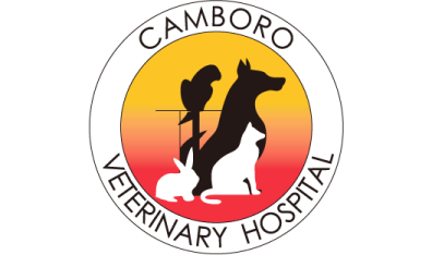 Camboro Veterinary Hospital-HeaderLogo