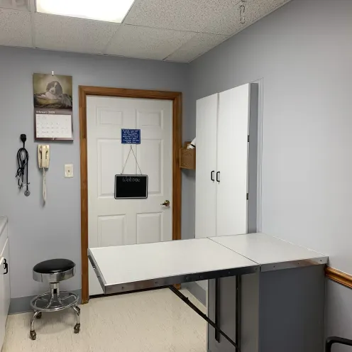 New Baltimore Animal Hospital Check Up Room.