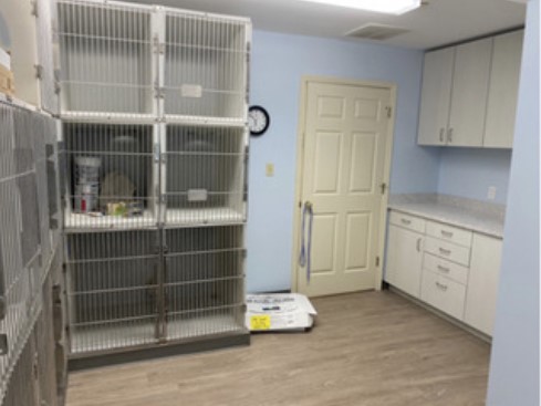 A exam room inside of our animal hospital 