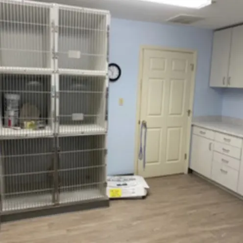 A exam room inside of our animal hospital A exam room inside of our animal hospital