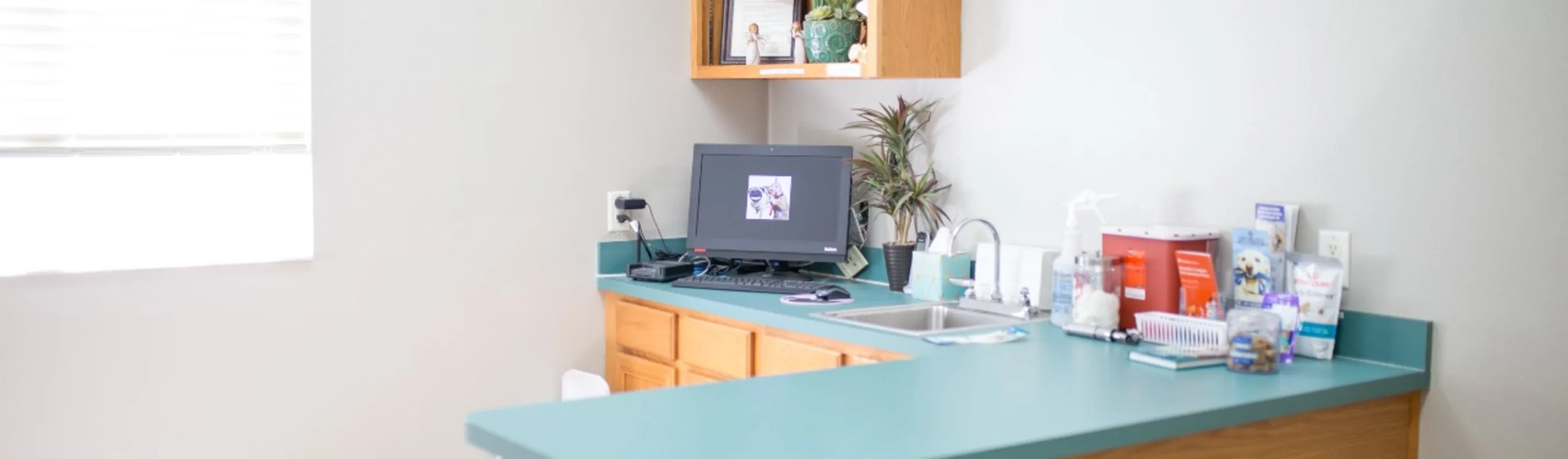Desk at University Animal Hospital Orlando. Desk at University Animal Hospital Orlando.