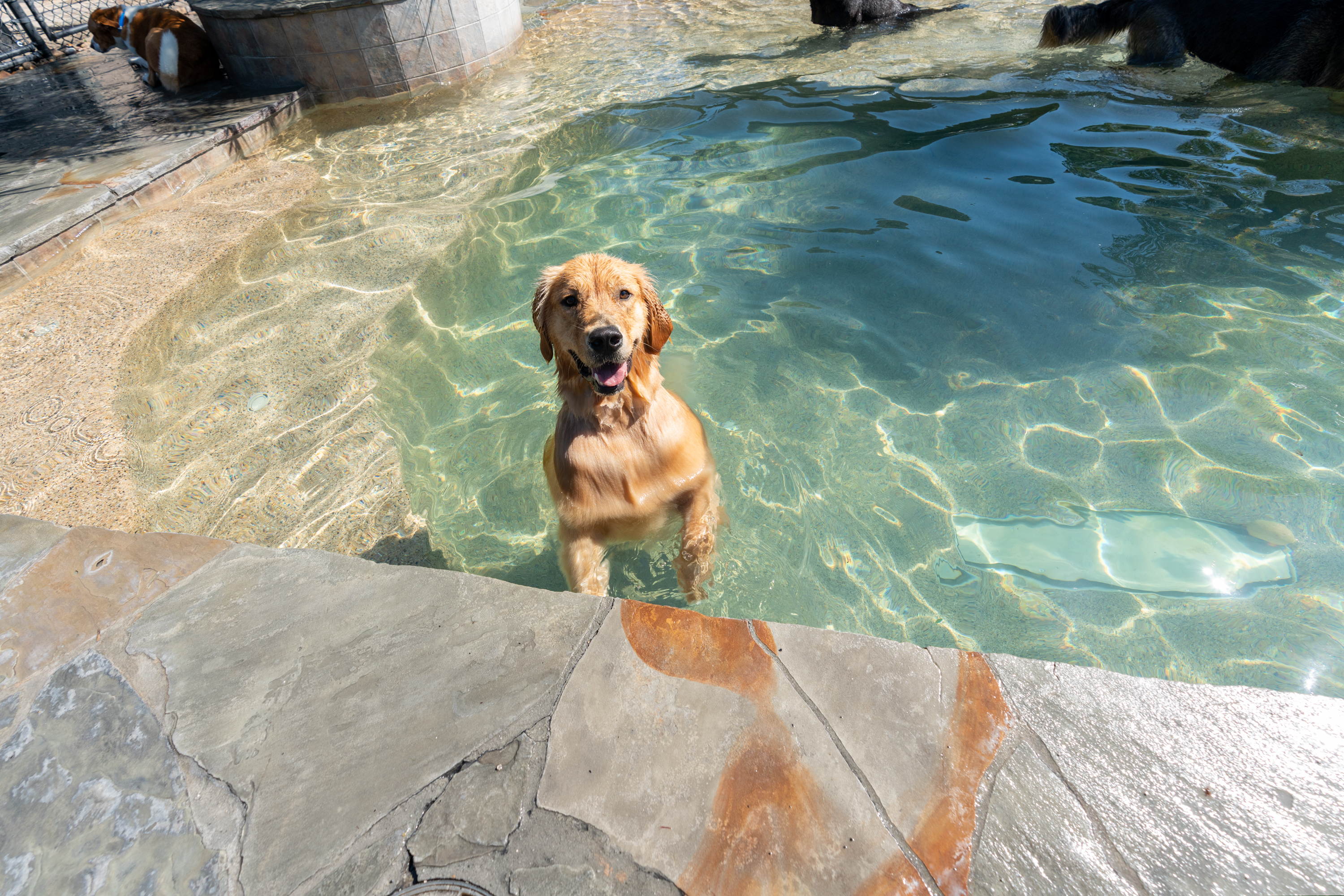 The Lodge at New Tampa Pool