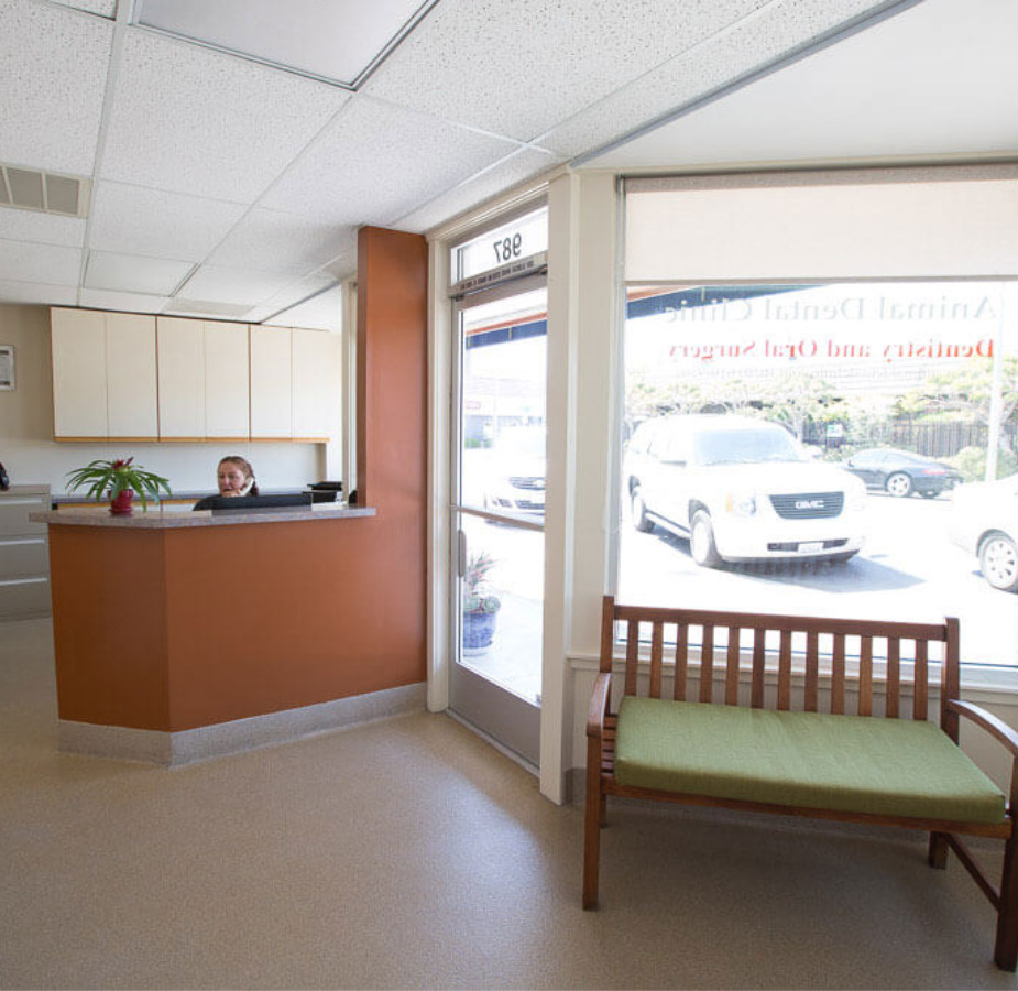 Staff member sitting at the reception desk