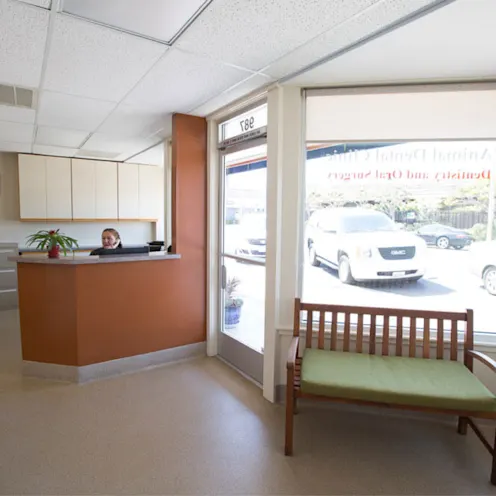 Staff member sitting at the reception desk Staff member sitting at the reception desk