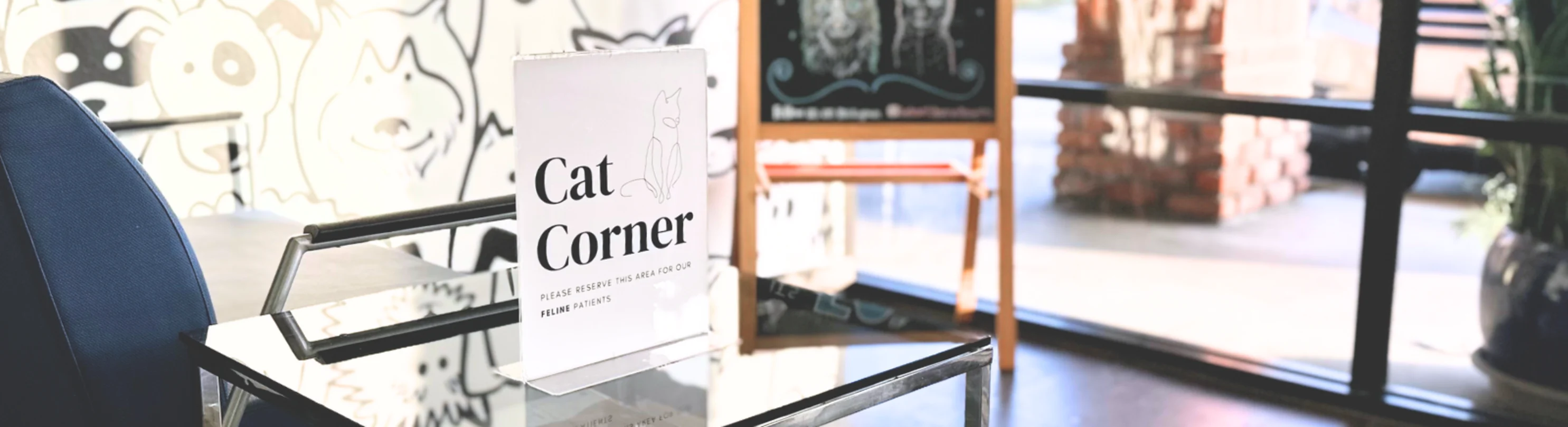 The cat waiting area at Belmont Shore Veterinary Hospital The cat waiting area at Belmont Shore Veterinary Hospital