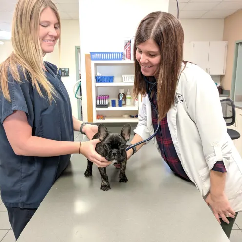 Doctor Barron and Vet Tech Megan checking vitals on pet